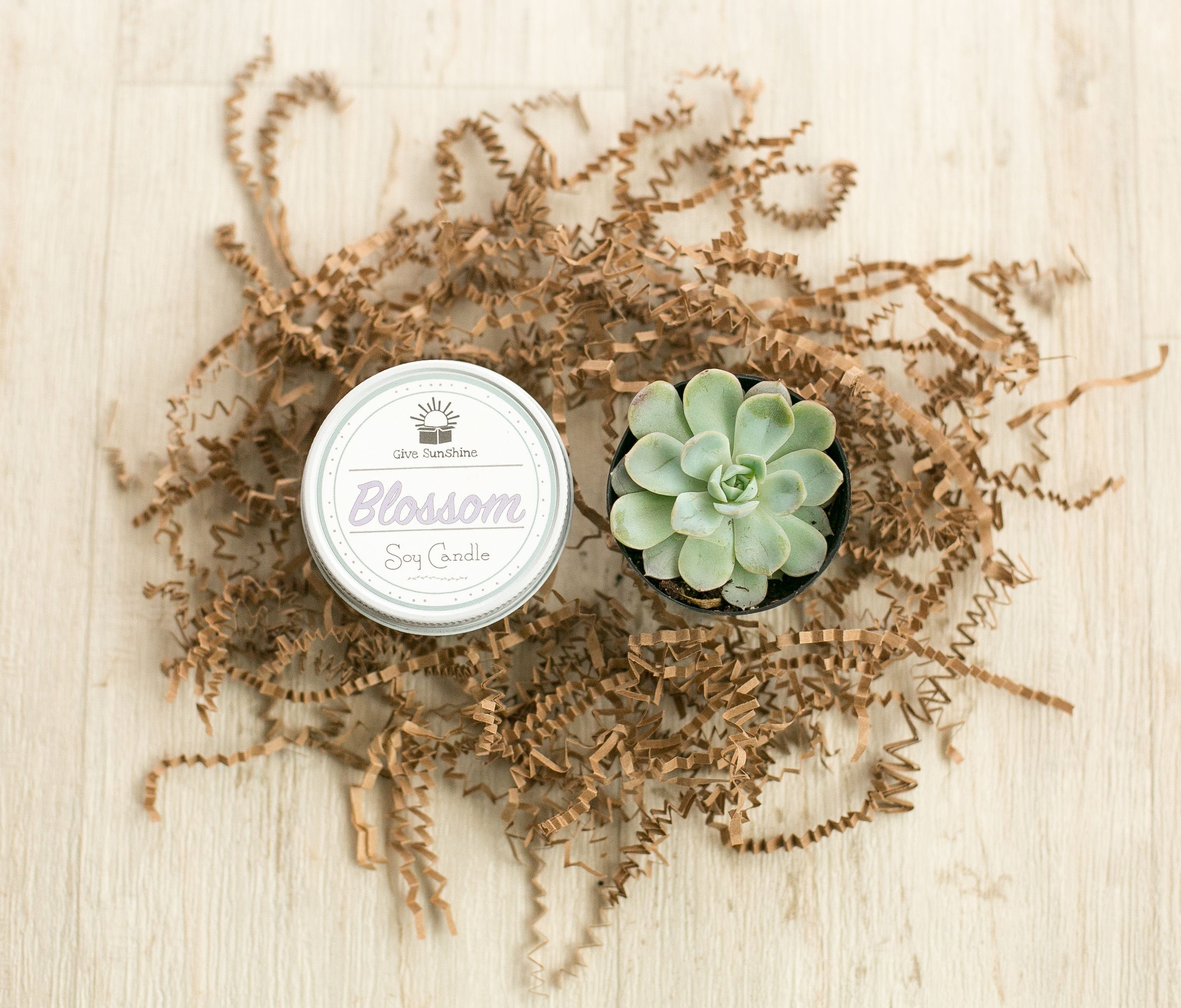 Sorry for Your Loss Box